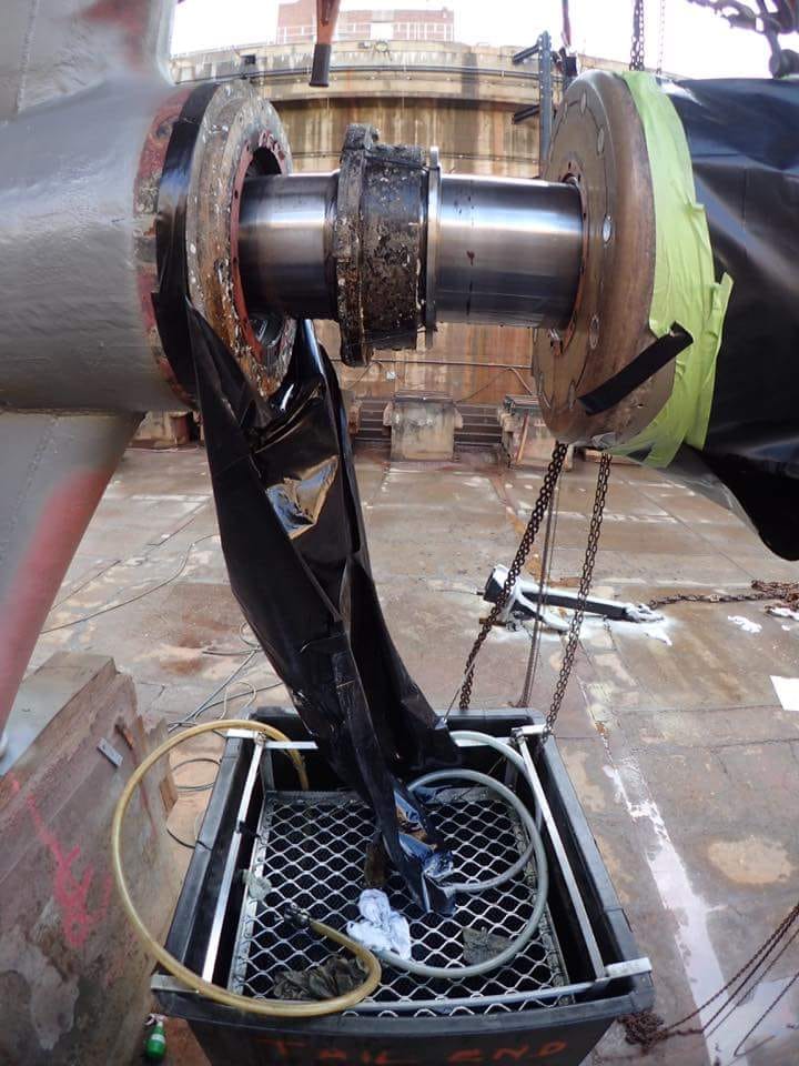 MV Collaroy 2018 Image 88