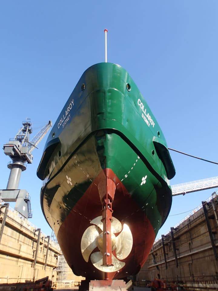 MV Collaroy 2018 Image 125