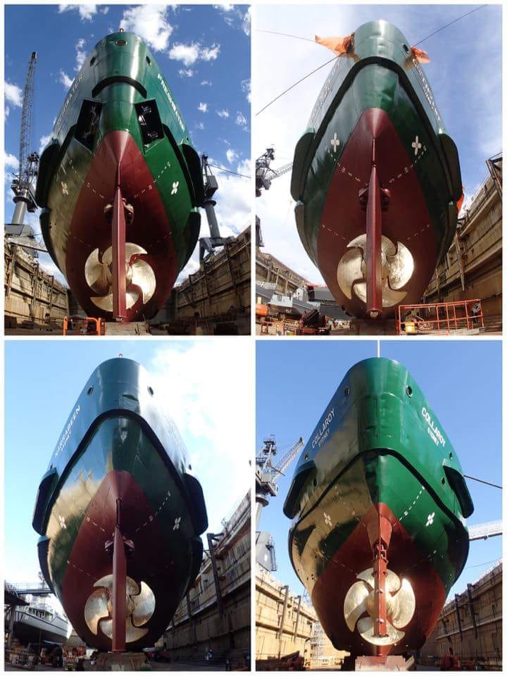 MV Collaroy 2018 Image 126