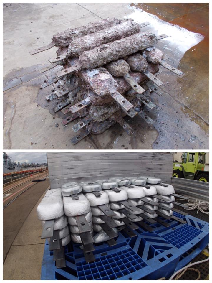 MV Freshwater 2015 Image 73