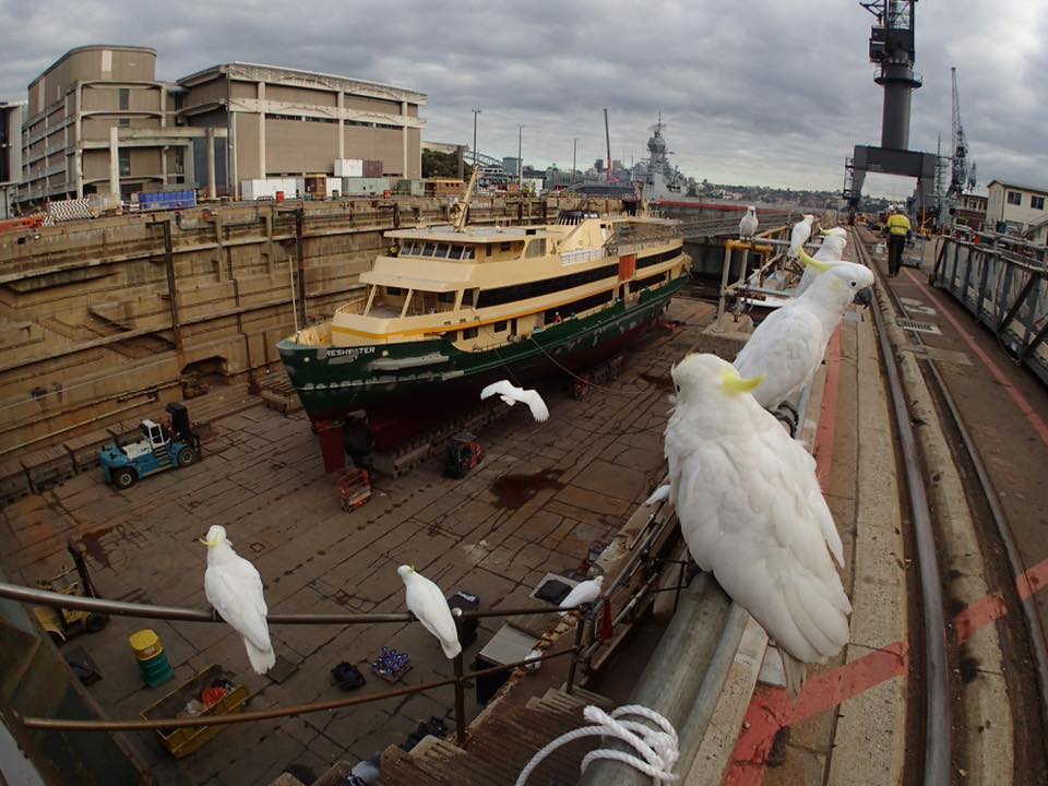 MV Freshwater 2015 Image 79