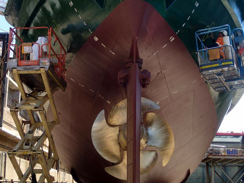 MV Narrabeen 2017 Image 167