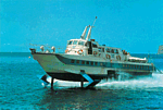 National View Postcard #P3001-1 thumbnail
