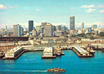 National View Postcard #P3044-2 thumbnail